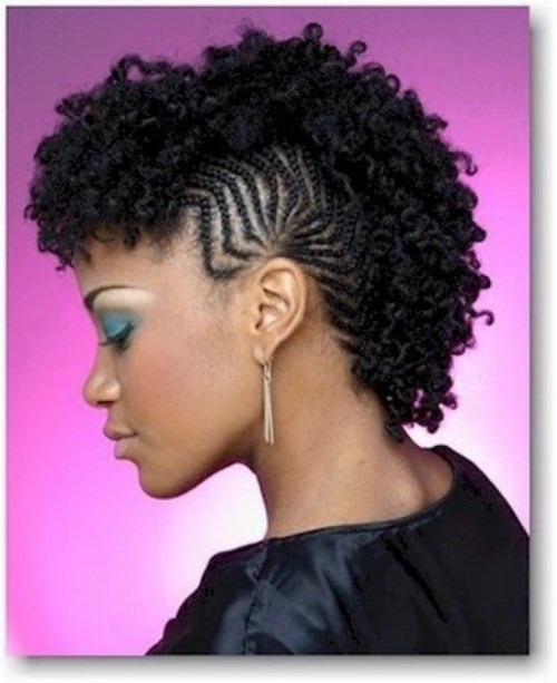 Braided Hairstyles For Natural Black Hair
 Fun Fancy and Simple Natural Hair Mohawk Hairstyles