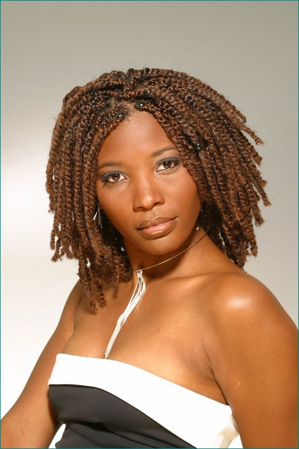 Braided Updo Hairstyles African American
 52 African Hair Braiding Styles and Beautified