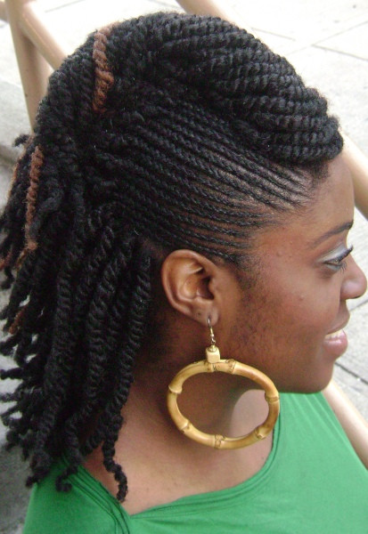 Braids And Twist Hairstyles
 Twists braids with roll hairstyle side thirstyroots