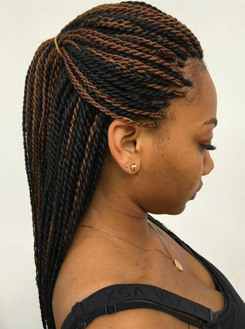 Braids And Twist Hairstyles
 30 Protective High Shine Senegalese Twist Styles