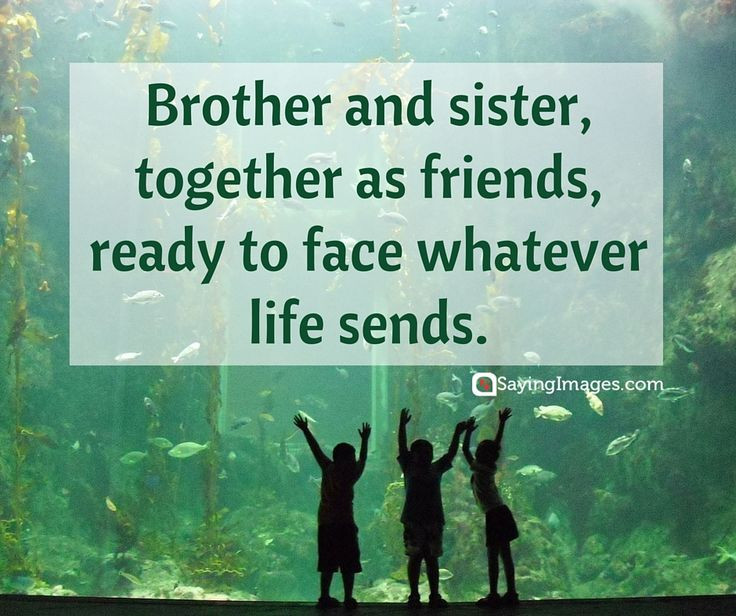 Brothers For Life Quotes
 The 25 best Brother sister quotes ideas on Pinterest