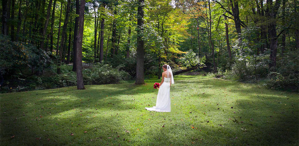 Bucks County Wedding Venues
 The Perfect Bucks County Wedding Venue HollyHedgeEstate