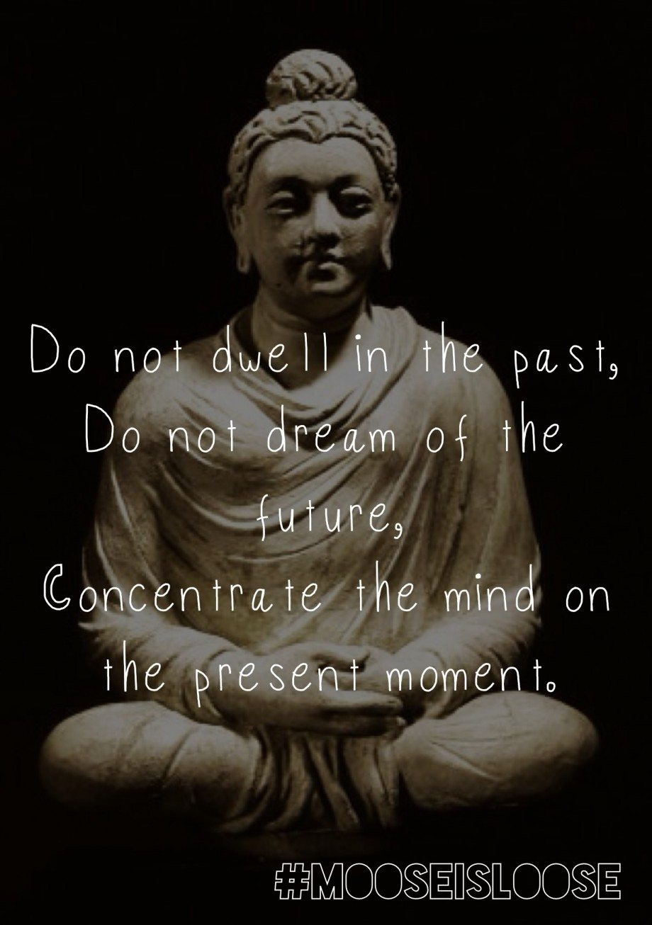 Buddha Quote About Life
 10 Awesome Buddha quotes that will inspire and motivate you