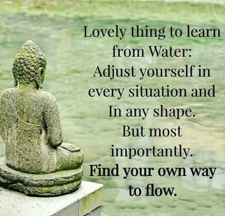 Buddhist Inspirational Quotes
 100 Inspirational Buddha Quotes And Sayings That Will