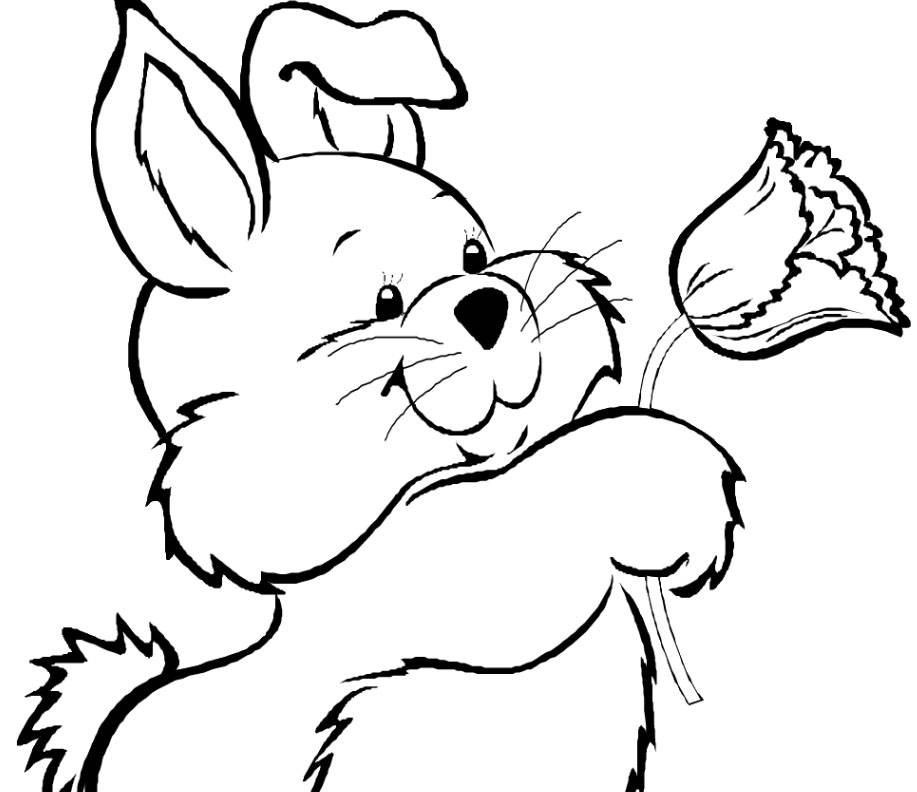 Bunny Coloring Pages For Kids
 2012 03 18