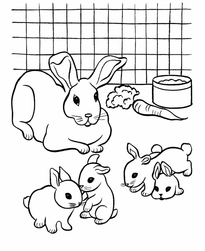 Bunny Coloring Pages For Kids
 Free Printable Rabbit Coloring Pages For Kids
