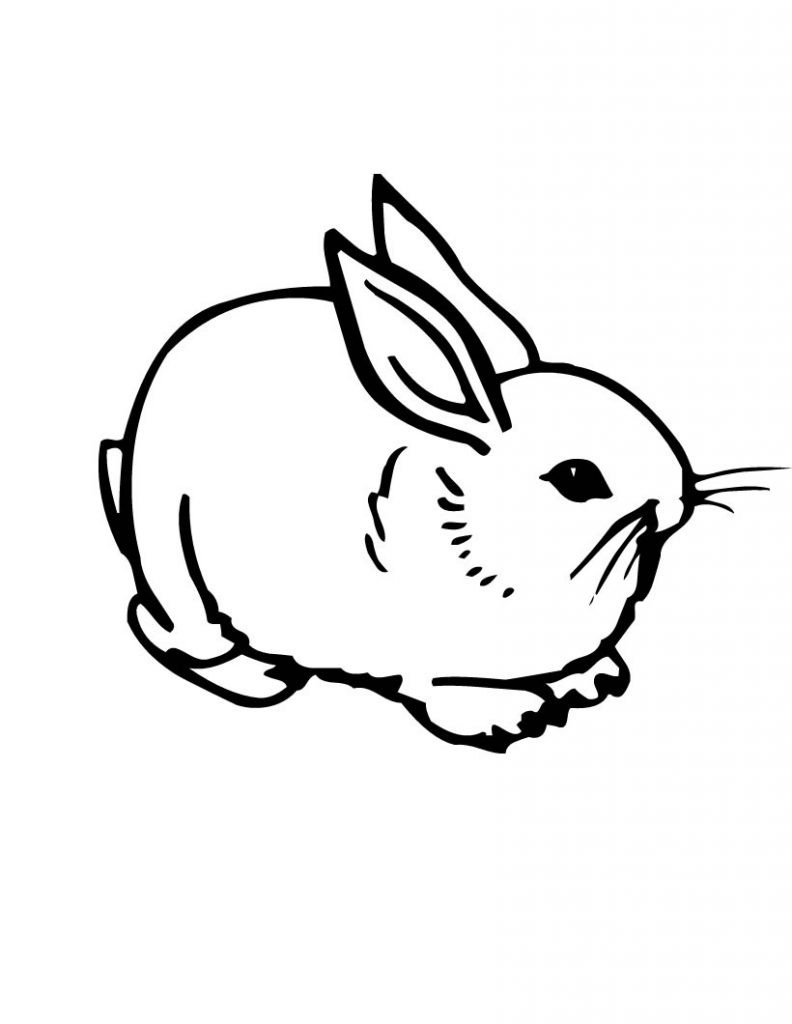 Bunny Coloring Pages Printable
 Free Printable Rabbit Coloring Pages For Kids