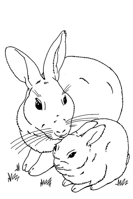 Bunny Coloring Pages Printable
 Color in a bunnies coloring page in stead of ing some pets