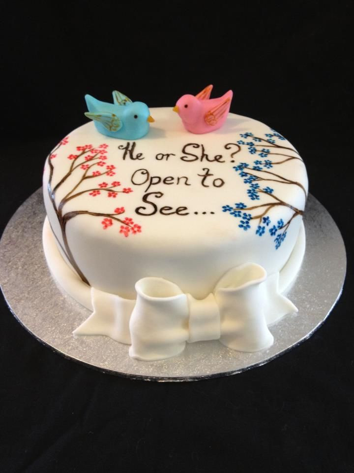 Cake Ideas For Gender Reveal Party
 Cute Gender Reveal Cake e into Stork 4D Imaging Studio