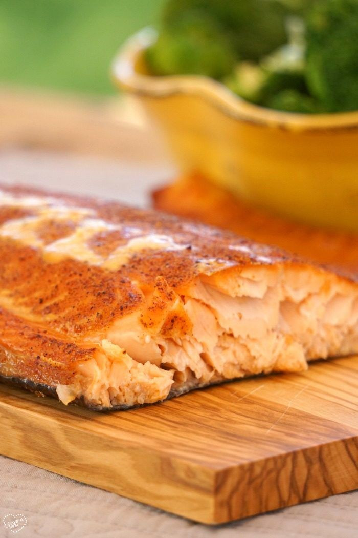 Can Dogs Eat Smoked Salmon
 How to smoke salmon Recipe