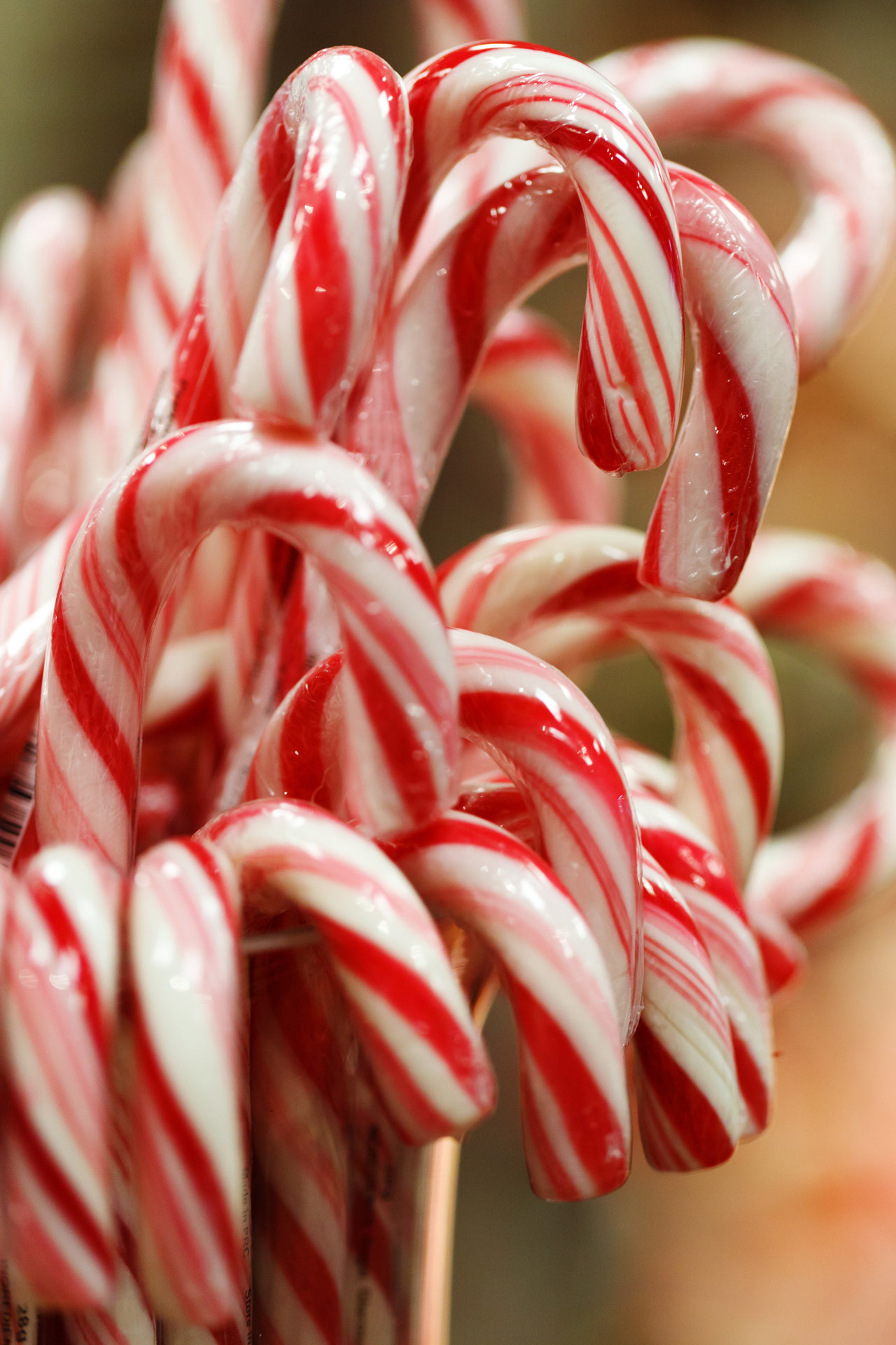 Candy Cane Christmas
 50 Things You NEED Your Before Christmas Bucket List