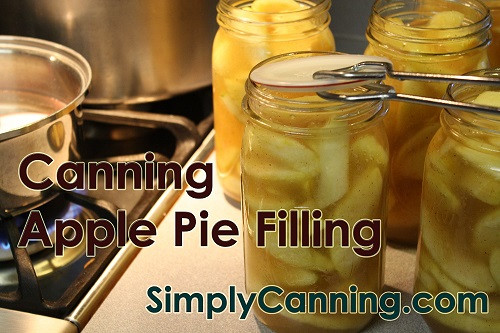 Canning Apple Pie Filling With Clear Jel
 Clear Jel is the go to for thickeners Ditch the flour and