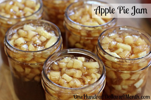 Canning Apple Recipes
 Recipes The Best Apple Recipes e Hundred Dollars a Month