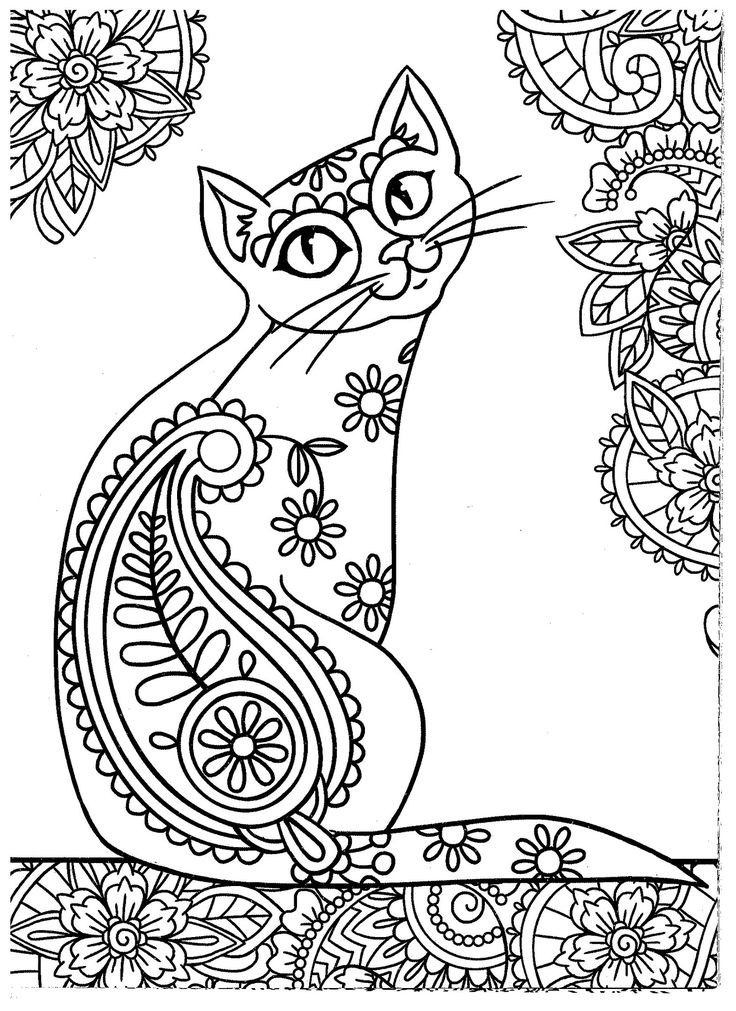 Cat Adult Coloring Pages
 Blank Adult Coloring Pages Cats Coloring Pages