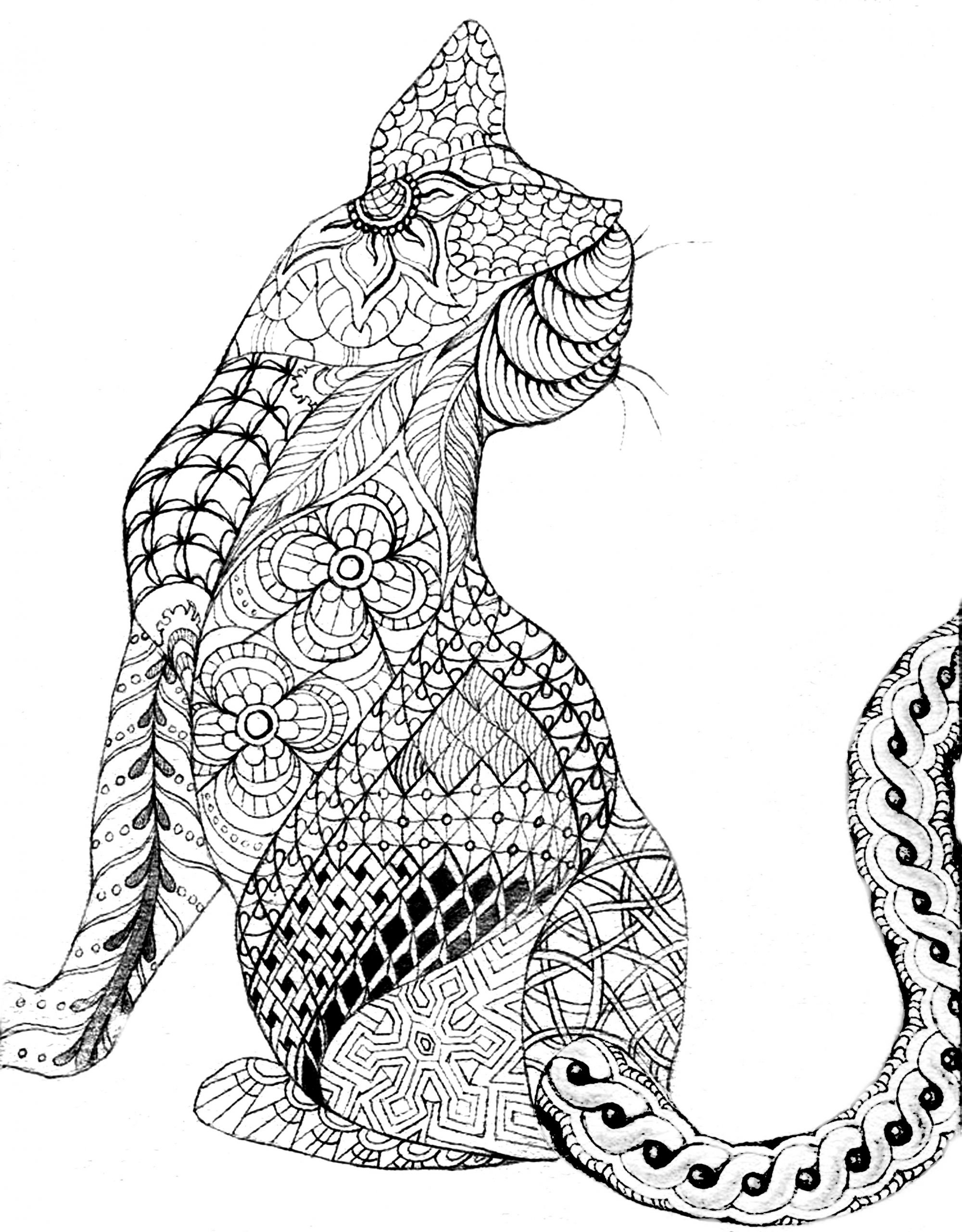 Cat Adult Coloring Pages
 Free Printable Adult Coloring Pages