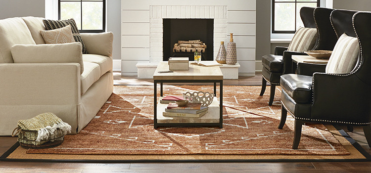 Center Rugs For Living Room
 Rugs – The Home Depot