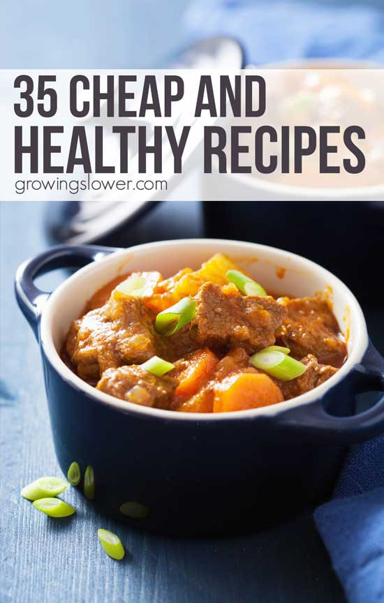 Cheap Healthy Dinner Ideas
 35 Cheap and Healthy Recipes Meal Ideas on a Tight Bud