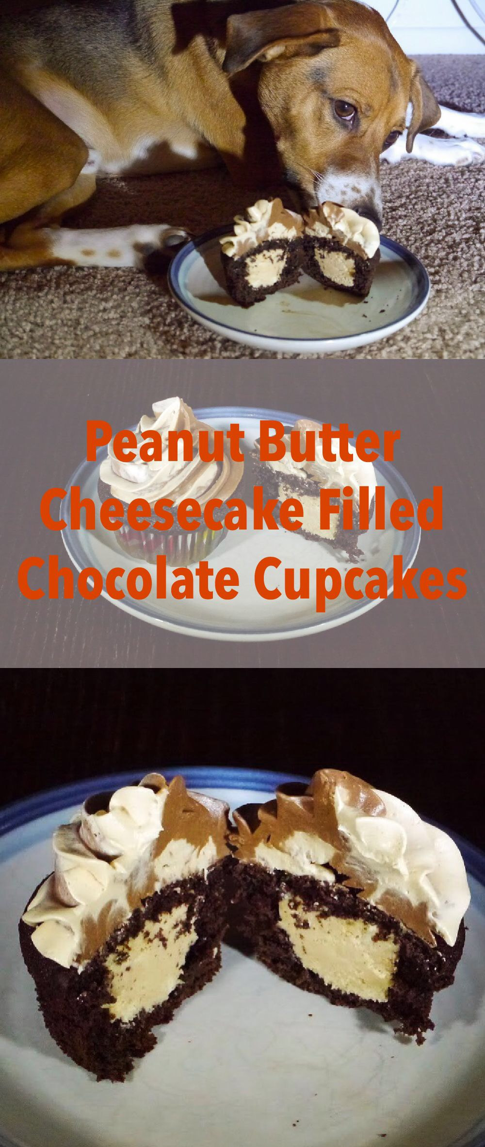 Cheesecake Filled Cupcakes
 Chocolate & Peanut Butter Cheesecake Filled Cupcakes
