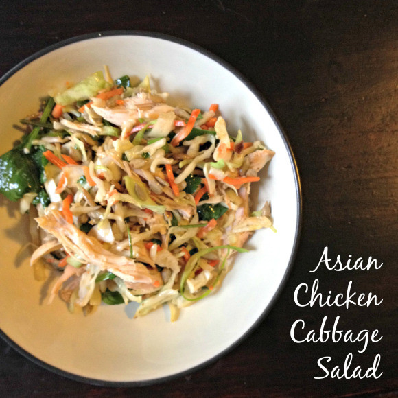 Chicken Cabbage Salad
 [Quick] Asian Chicken Cabbage Salad