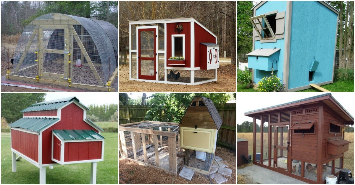 Chicken Coop DIY Plans
 20 Free DIY Chicken Coop Plans You Can Build This Weekend