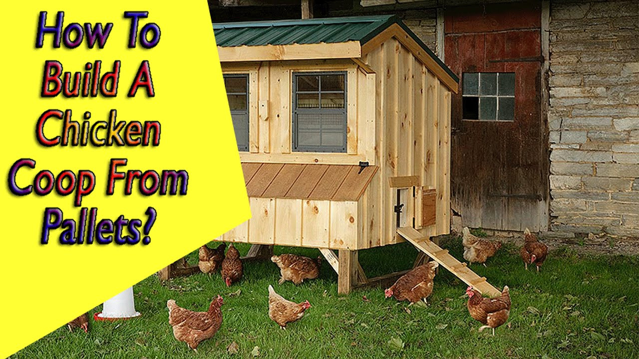 Chicken Coop DIY Plans
 How To Build A Chicken Coop For 6 Chickens