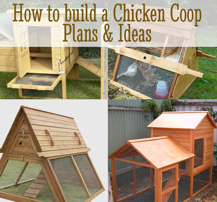 Chicken Coop DIY Plans
 7 Puzzle Piece DIY Ideas DIY for Life