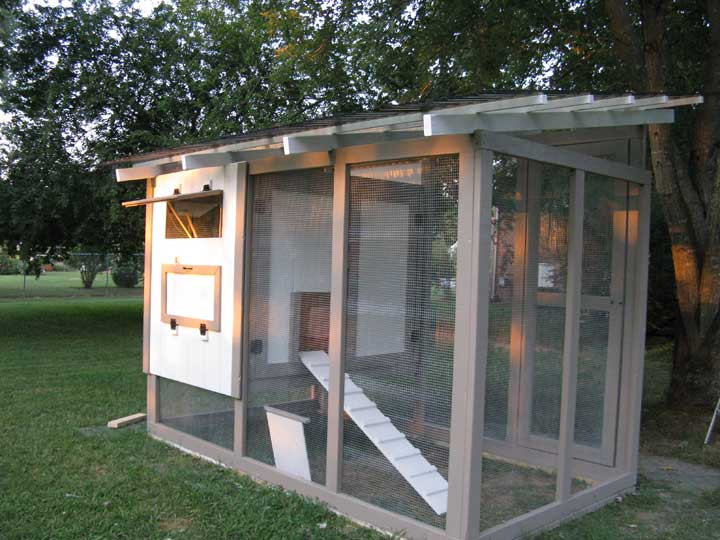 Chicken Coop DIY Plans
 8 DIY Cute and Functional Small Chicken Coop Plans