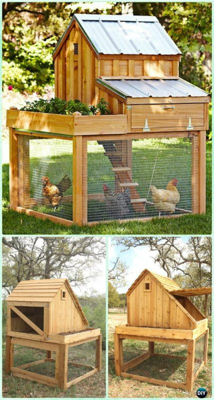 Chicken Coop DIY Plans
 61 DIY Chicken Coop Plans That Are Easy to Build Free