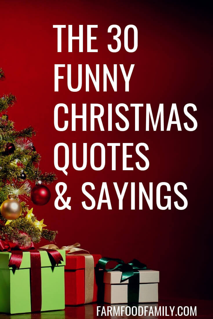 Christmas And Kids Quotes
 30 Funny Christmas Quotes & Sayings That Make You Laugh