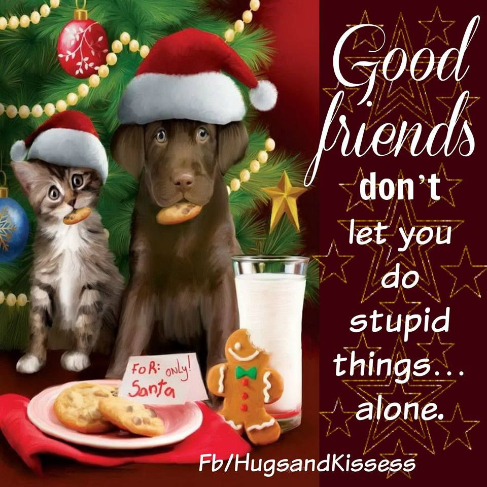 Christmas Friendship Quotes
 Cute Christmas Quotes About Friendship s