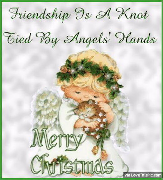 Christmas Friendship Quotes
 Friendship Is A Knot Tied By An Angels Hands Merry