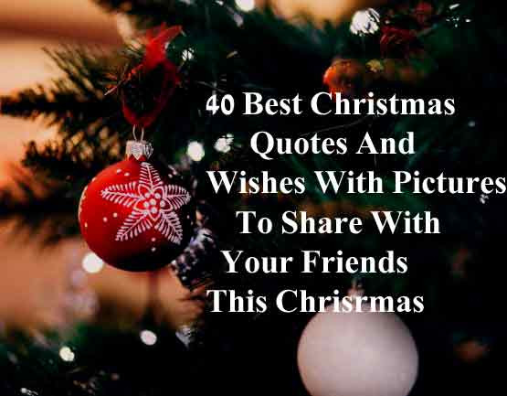 Christmas Friendship Quotes
 Best christmas quotes wishe