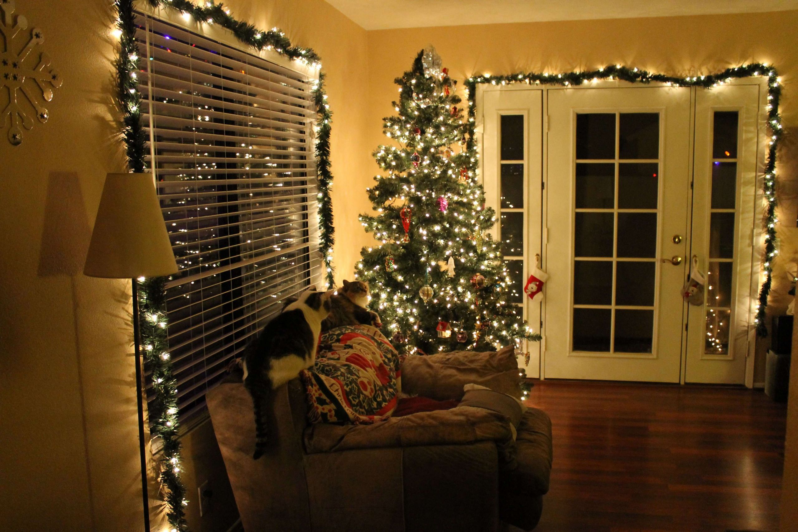 Christmas Light Decorations Indoor
 Get Decorative This Christmas Mozaico Blog