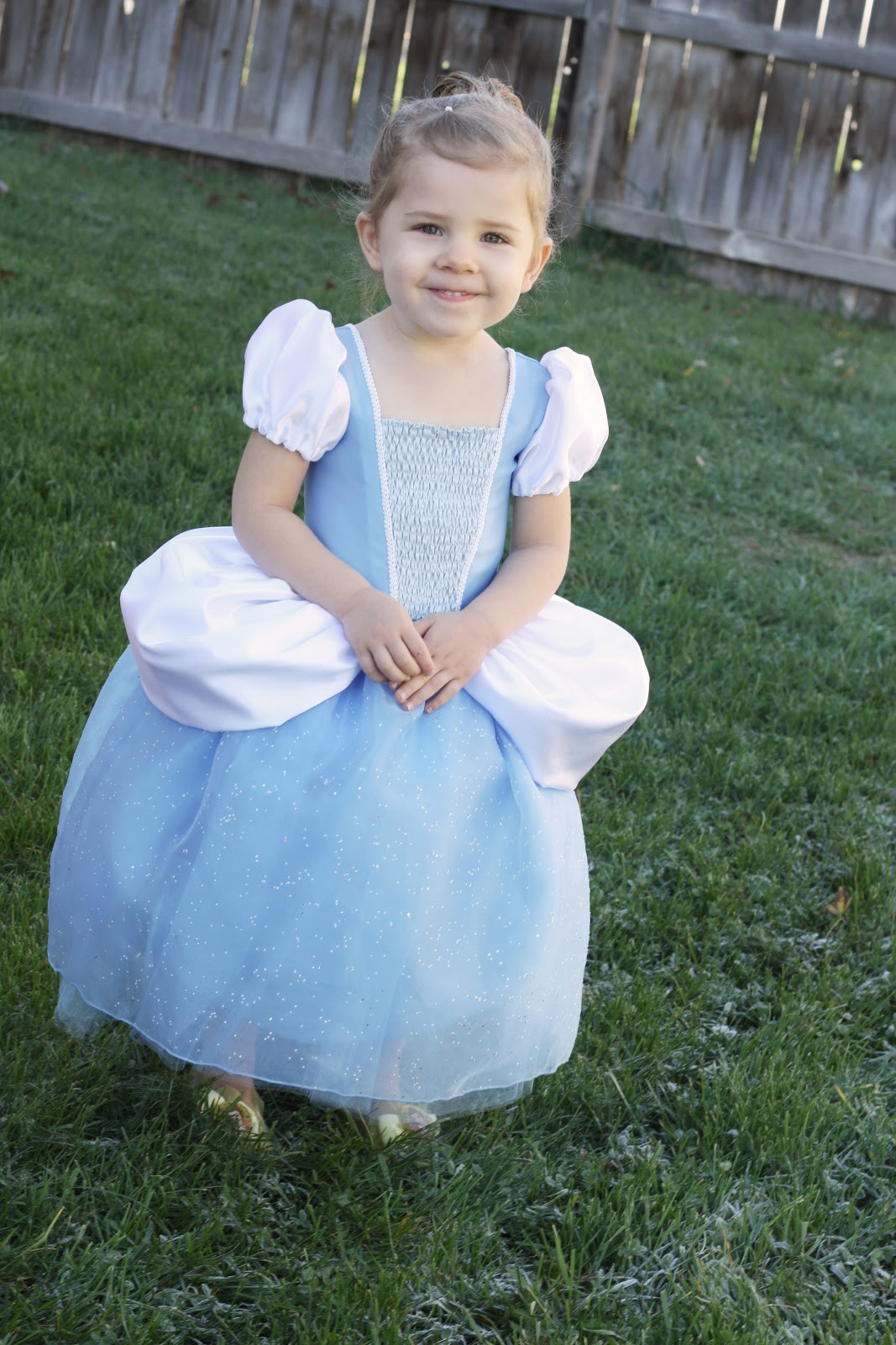 Cinderella DIY Costumes
 Cinderella and Belle Princess Dress Costume Pattern and