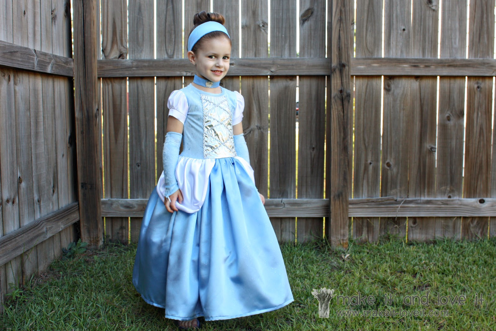Cinderella DIY Costumes
 Cinderella Dress Halloween Costume