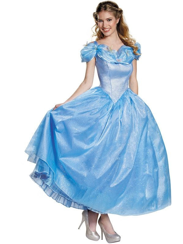 Cinderella DIY Costumes
 Best Disney Halloween Costumes For Adults