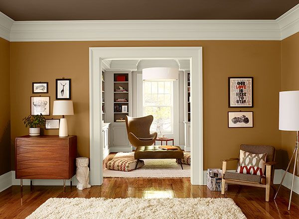 Color Palette For Living Room
 Living Room Color Ideas & Inspiration