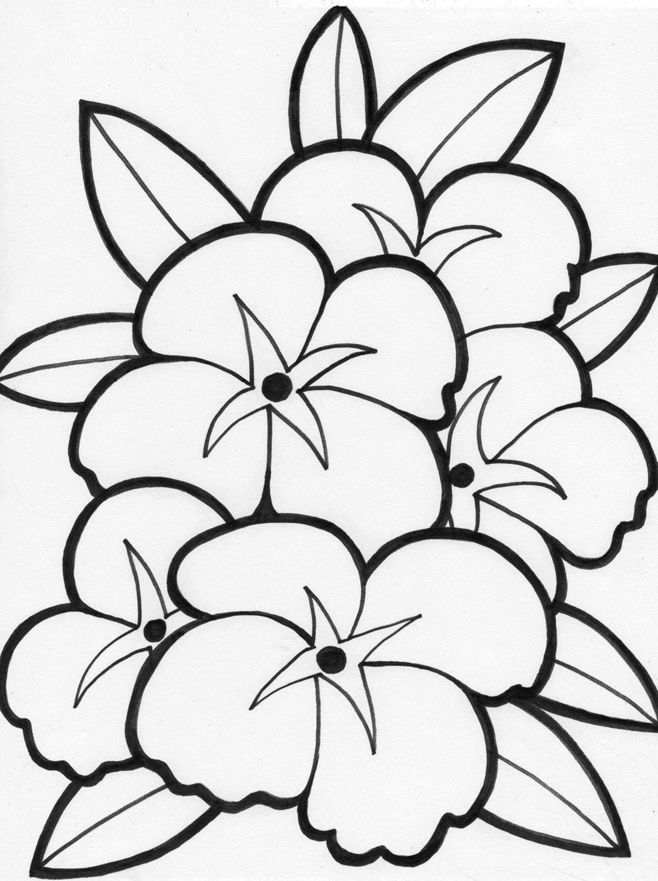 Coloring Flowers For Kids
 Free Printable Flower Coloring Pages For Kids Best