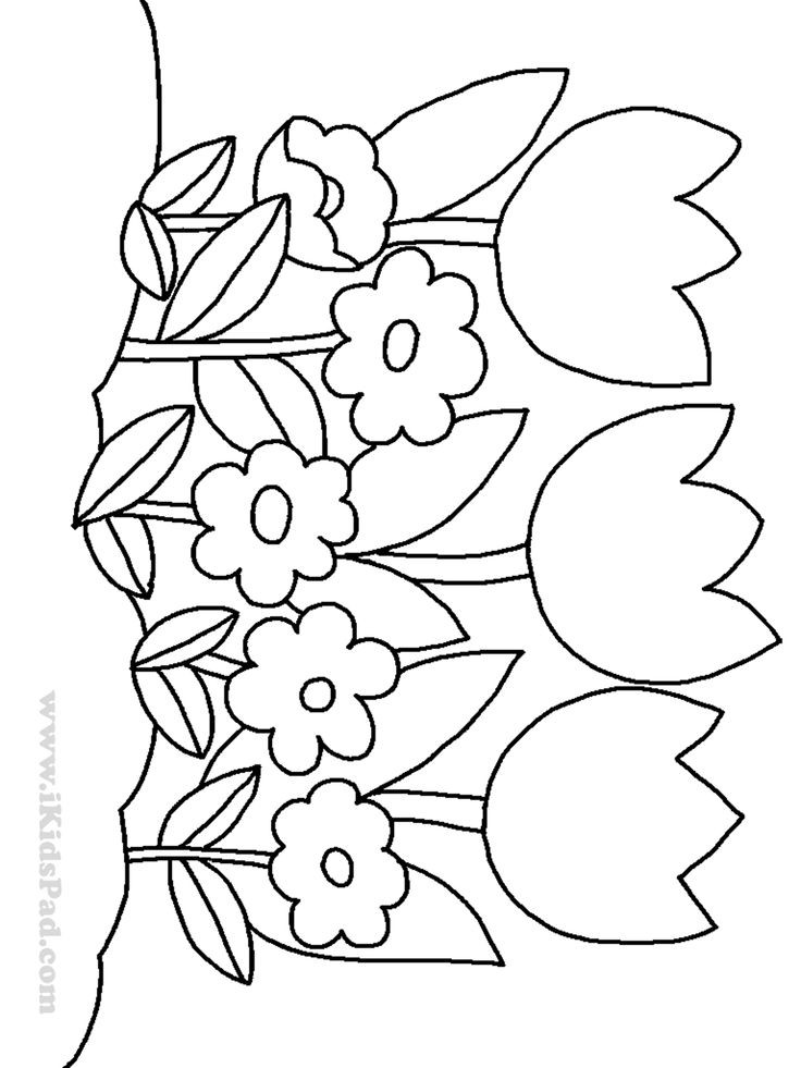 Coloring Flowers For Kids
 row of tulip flowers coloring pages for kids