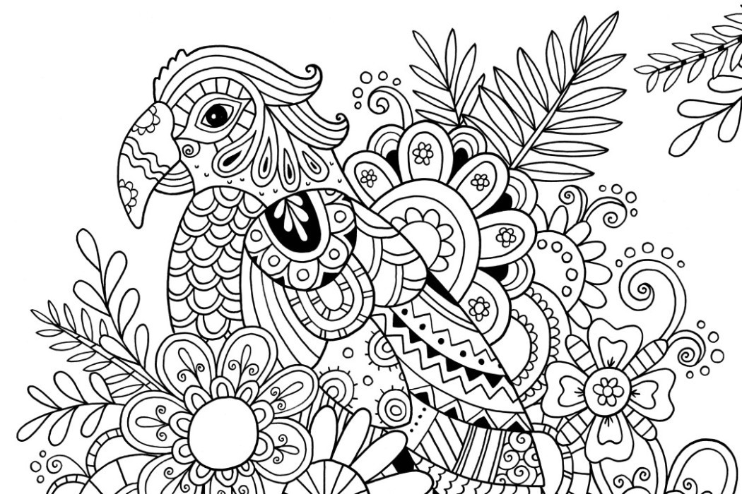 Coloring Pages For Adults Easy
 How to Draw Zentangle Patterns Hobbycraft Blog