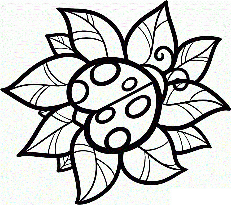 Coloring Pages For Adults Easy
 Free Printable Ladybug Coloring Pages For Kids