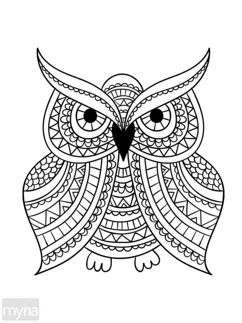 Coloring Pages For Adults Easy
 Print Adult Coloring Book 1 Big Beautiful