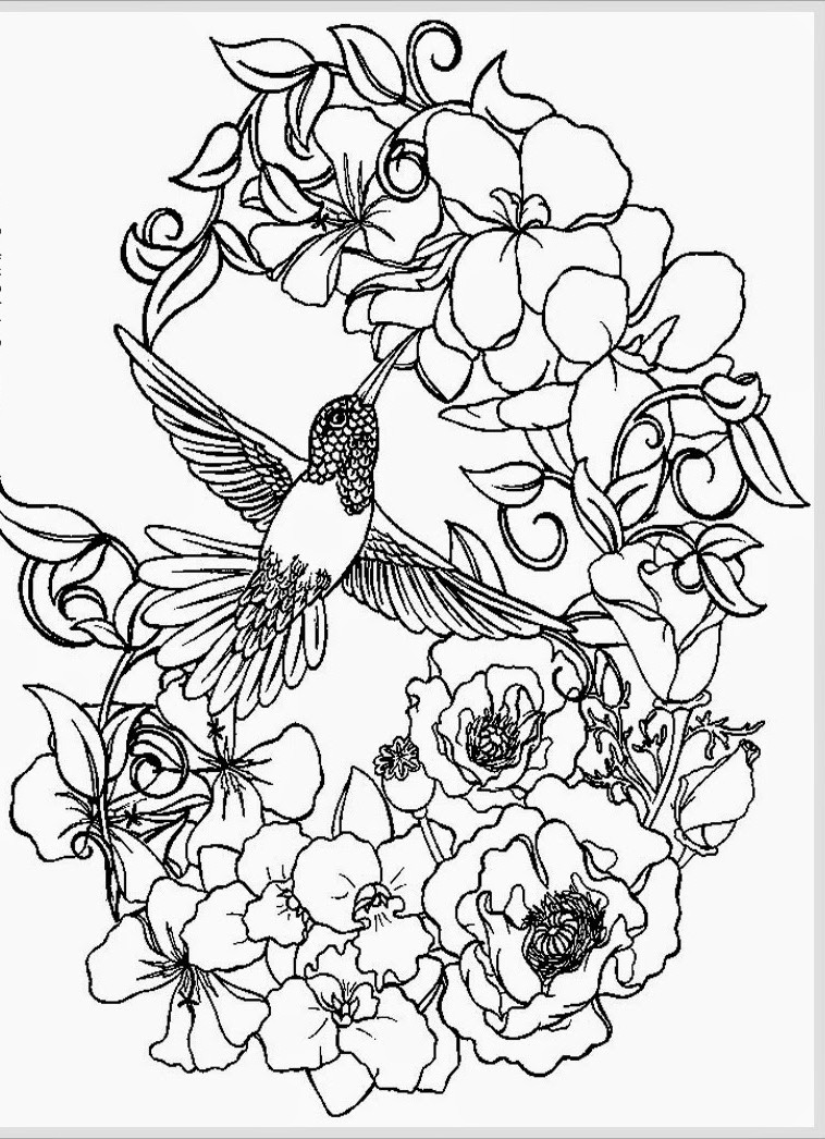 Coloring Pages For Adults Free Printable
 Awesome Adult Coloring Coloring Pages