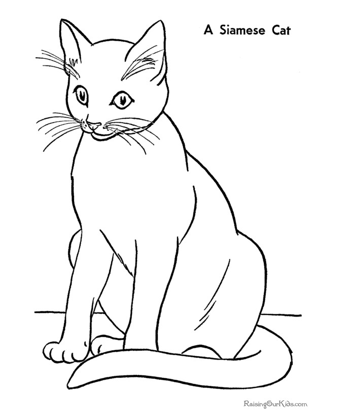 Coloring Pages For Kids Cat
 Kitty World Kitten To Colour
