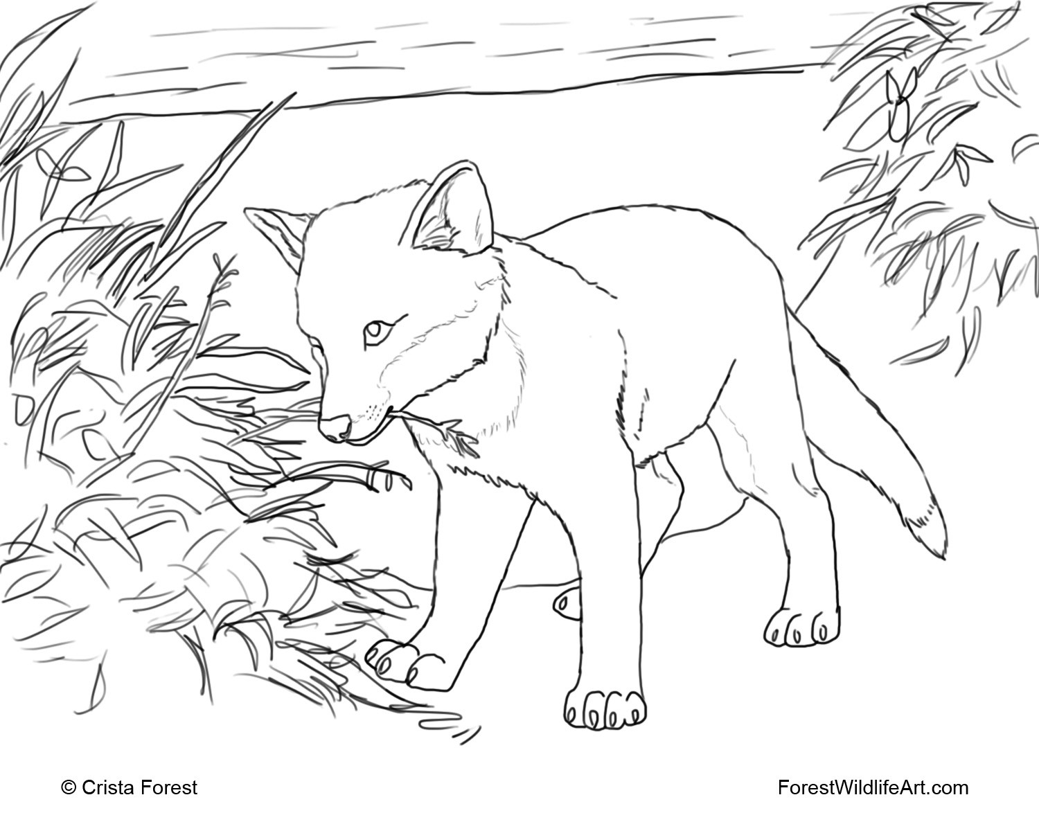 Coloring Pages For Kids Fox
 Crista Forest s Animals & Art Coloring Book Page Red