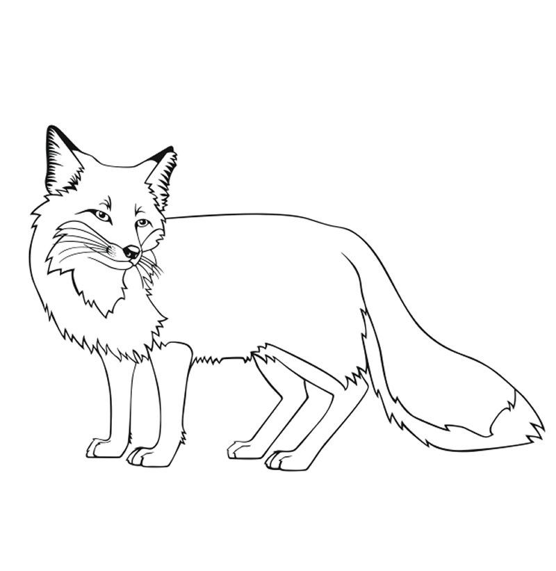 Coloring Pages For Kids Fox
 Pin by Shreya Thakur on Free Coloring Pages