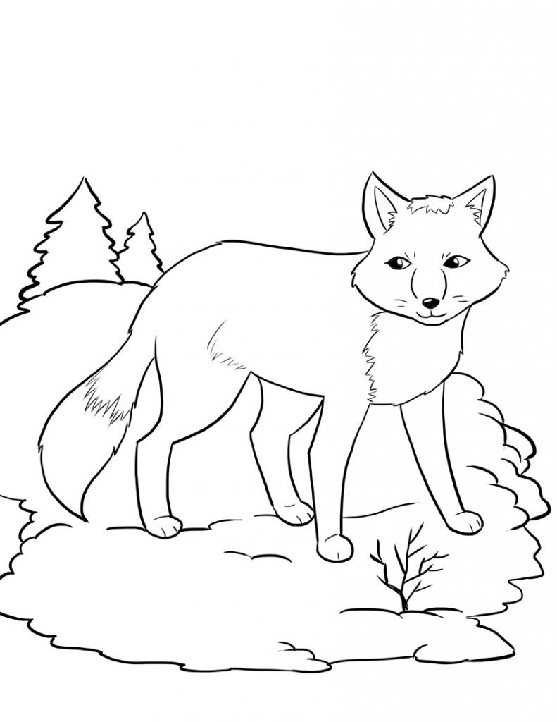Coloring Pages For Kids Fox
 Free Printable Fox Coloring Pages For Kids