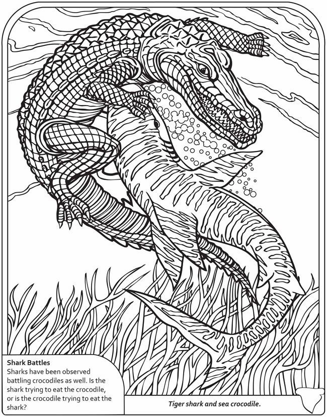 Coloring Pages For Older Boys
 23 best images about Coloring Nathan on Pinterest