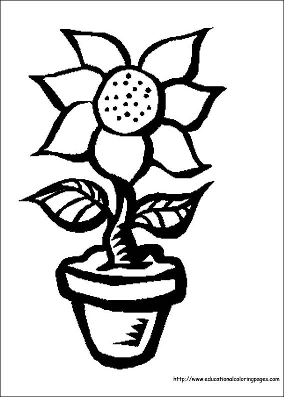 Coloring Pages Free For Kids
 Flower Coloring Coloring Pages free For Kids
