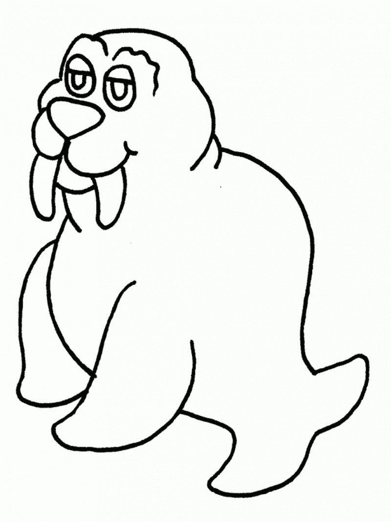 Coloring Pages Free For Kids
 Free Printable Walrus Coloring Pages For Kids